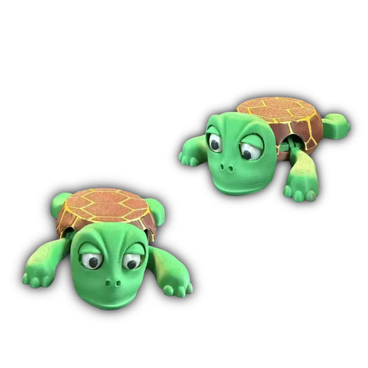 Lazy Turtle Coaster